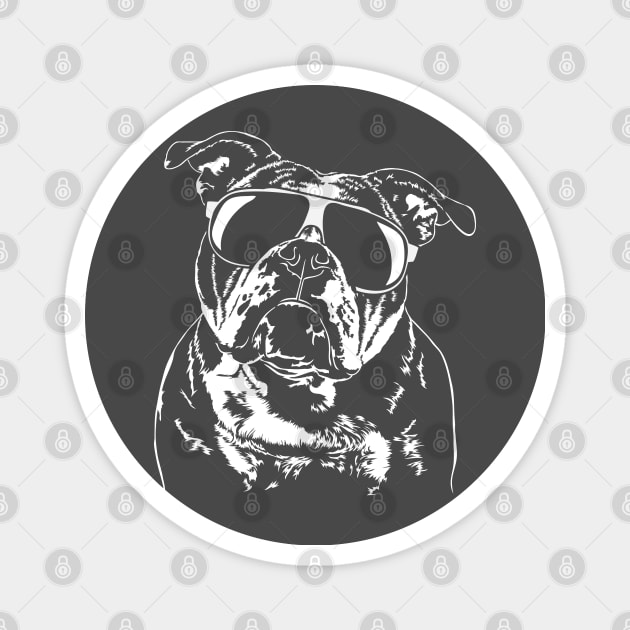 Cool Old English Bulldog with sunglasses Magnet by wilsigns